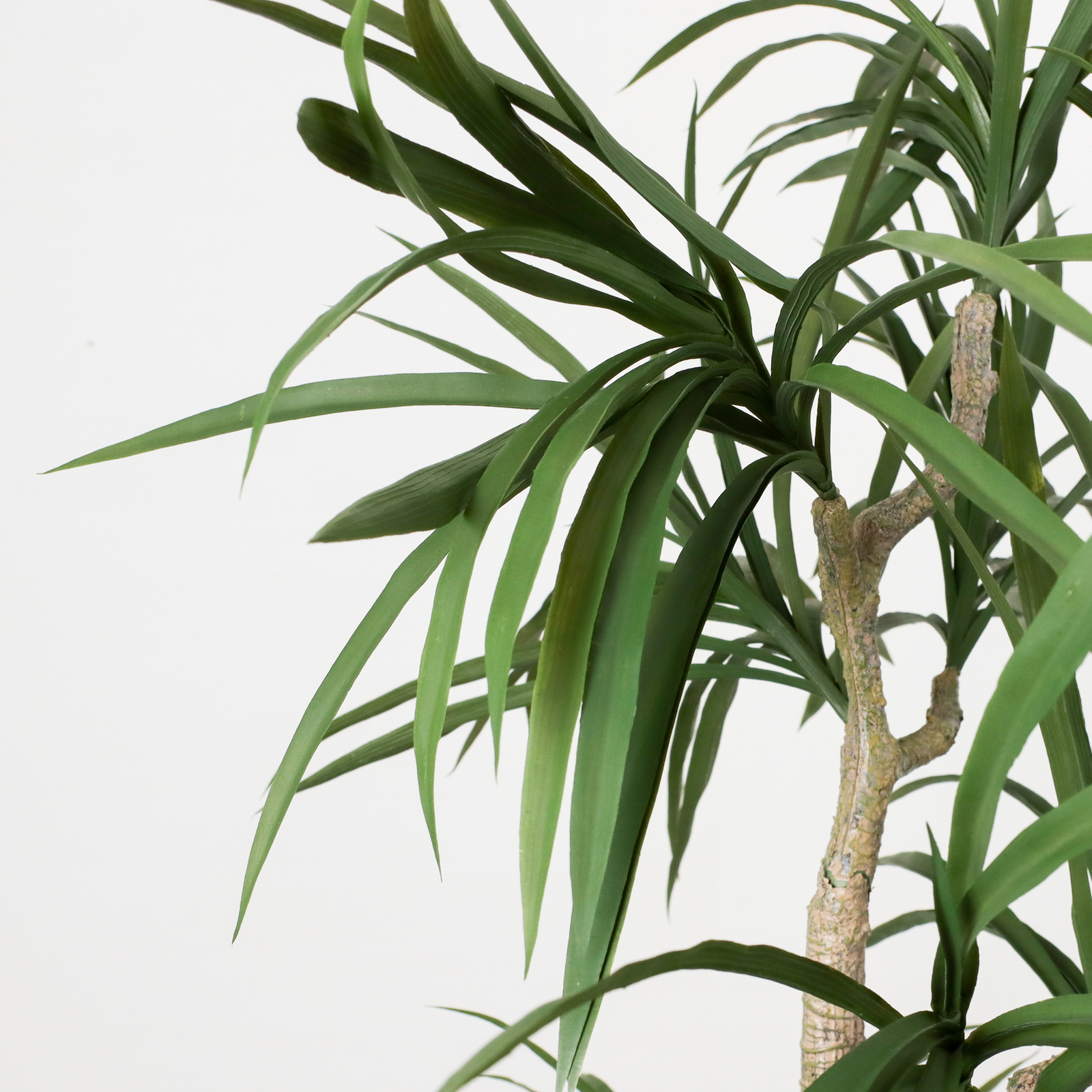 �y�����ʓrA�z150CM�׽����׾�