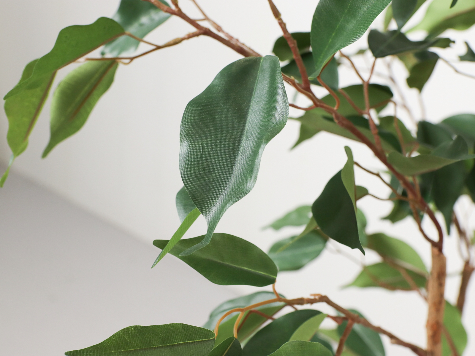 �y�����ʓrB�z210CM��ݼެ���ذ