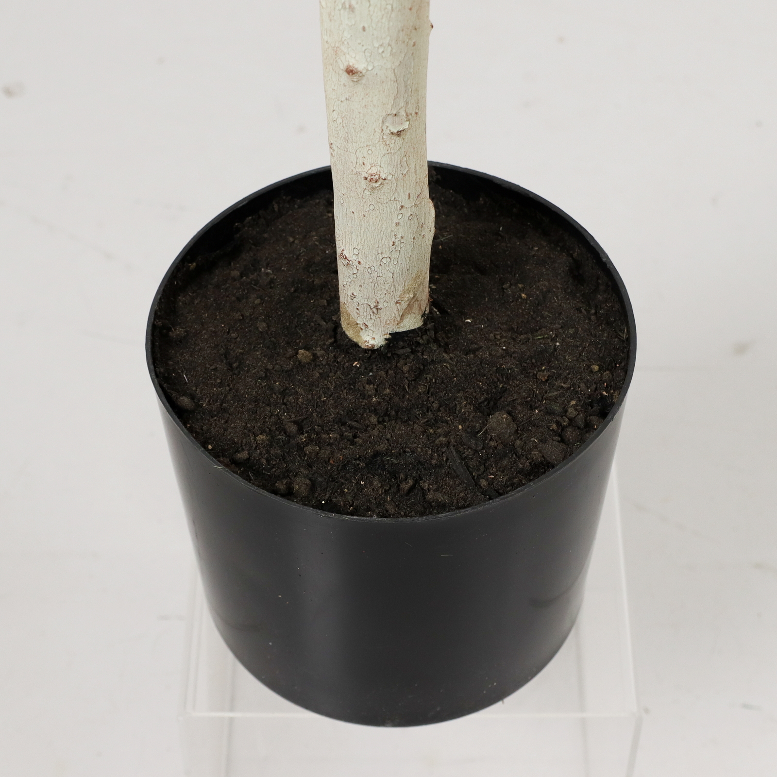 160CM̨����ü�