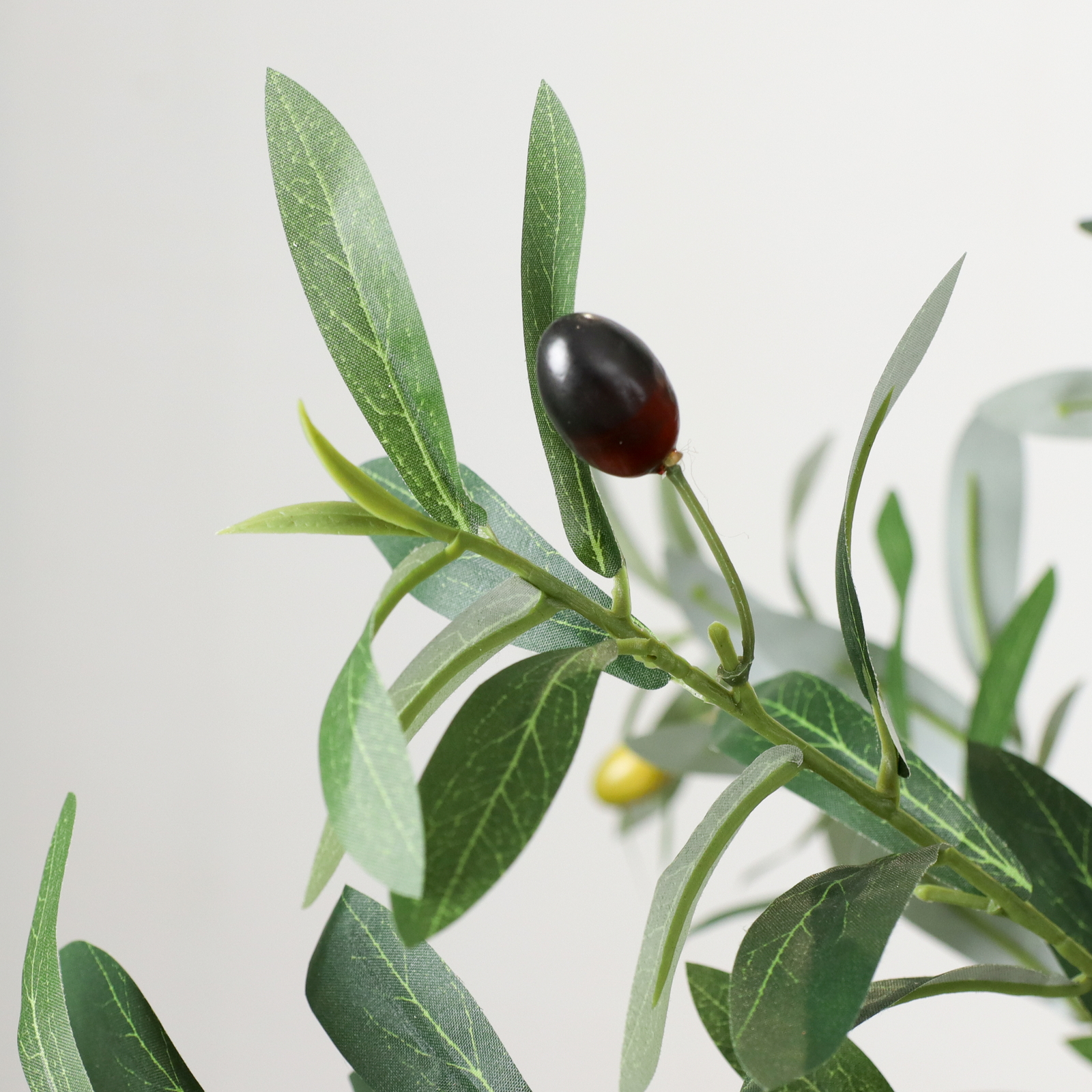 170CMܲ����ݸ�ذ��