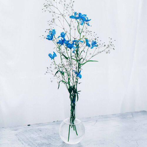 HF-1LSCI平底フラスコ1000ml