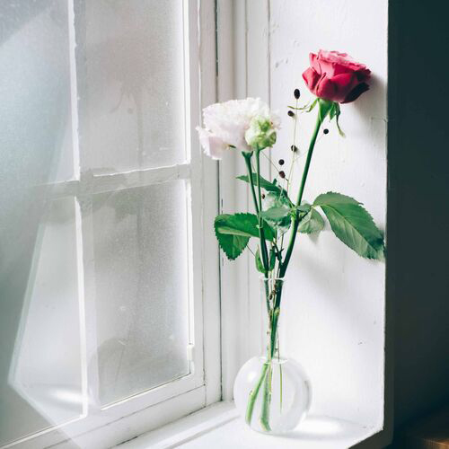 HF-500SCI平底フラスコ500ml