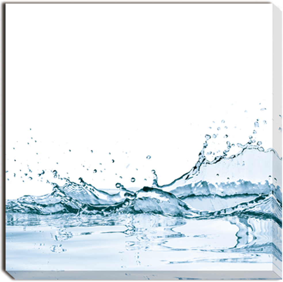 【個人宅配送不可】waterspiashwith(2枚セット)