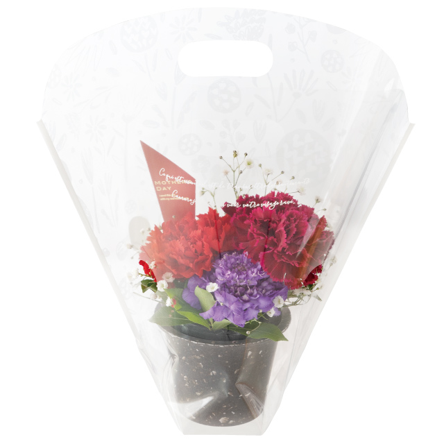 カラフルバンブーポット-S/チャコールグレー(10個)