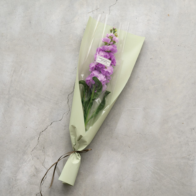 ラッピングカラーPPロール-10/ピスタチオ(1巻)