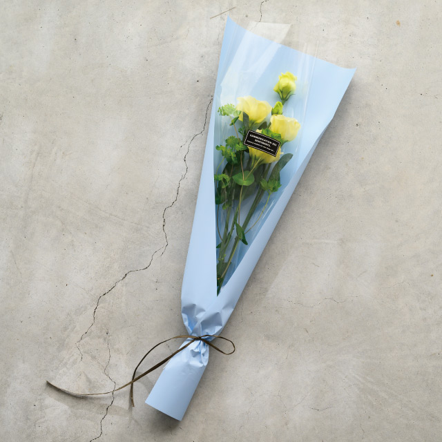 ׯݸ޶װPP۰-13/ްٰ(1)