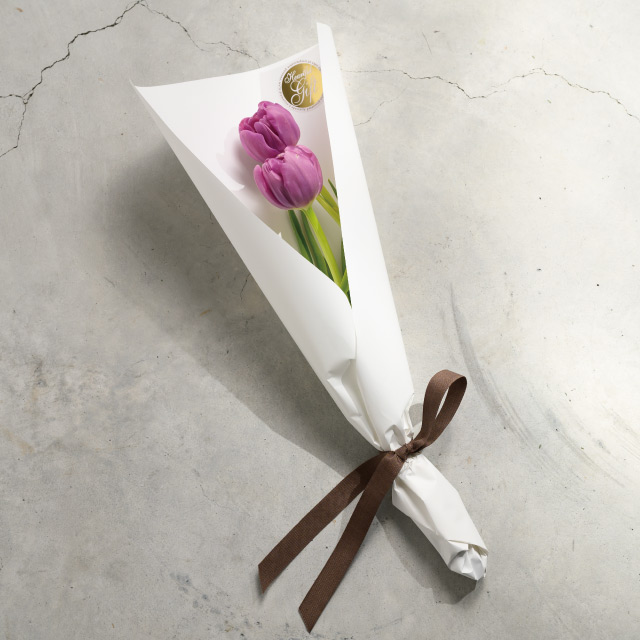 『ルールー商品になります』 Franklin＆Tie-Down 5インチ（127mm）キールローラーセット