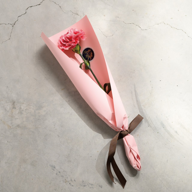 ׯݸ޶װPP۰-4/ݸ(1)