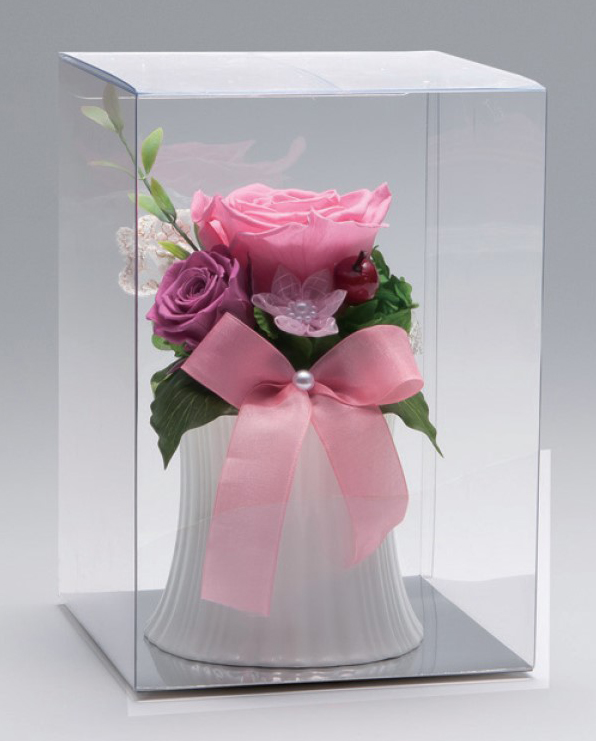 【メーカー廃盤】クリアケース(14x14xH20cm)上クリア 2枚入り