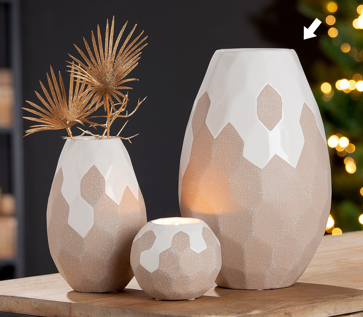 Ceramics Vase Combo Pack 2