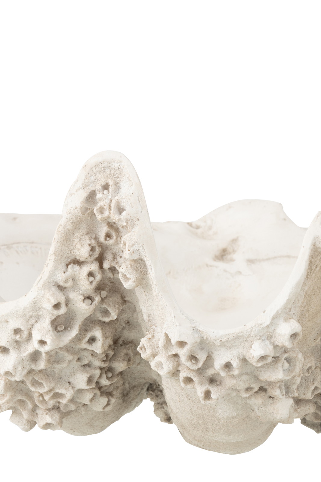 ��DECO BOWL SEASHELL  S