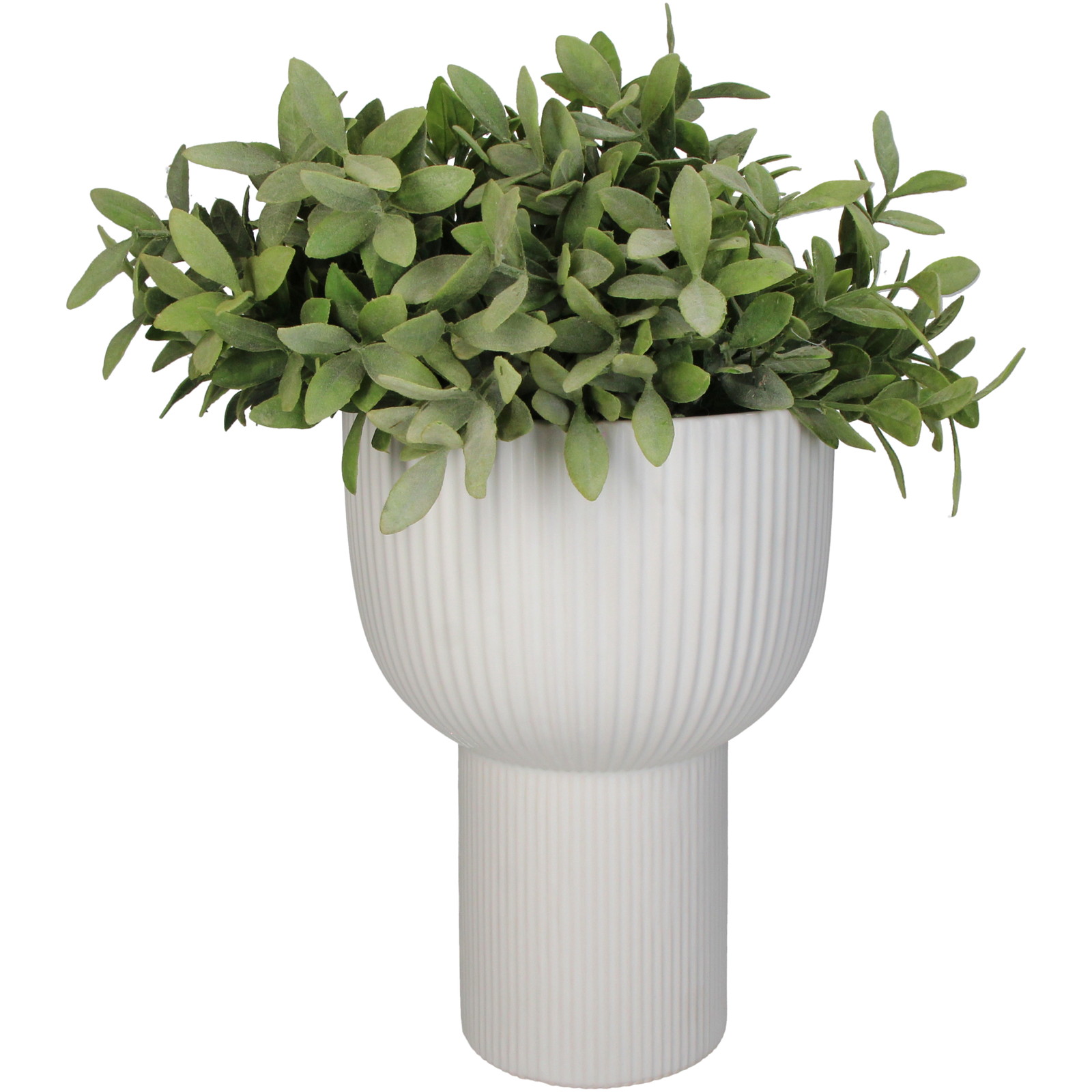 ��Planter Stripe Dolomite