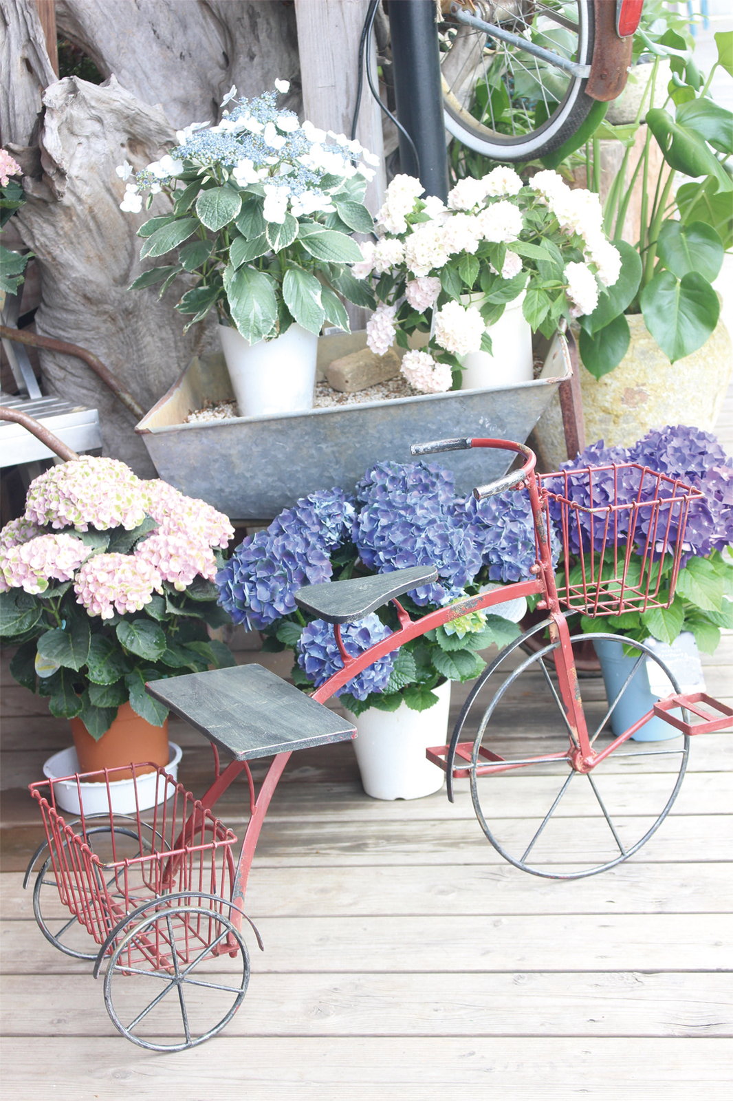 �y�l��z���s�z��è���ײ���������