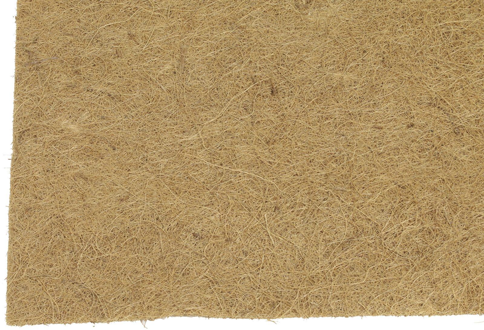 ��̧��ް���