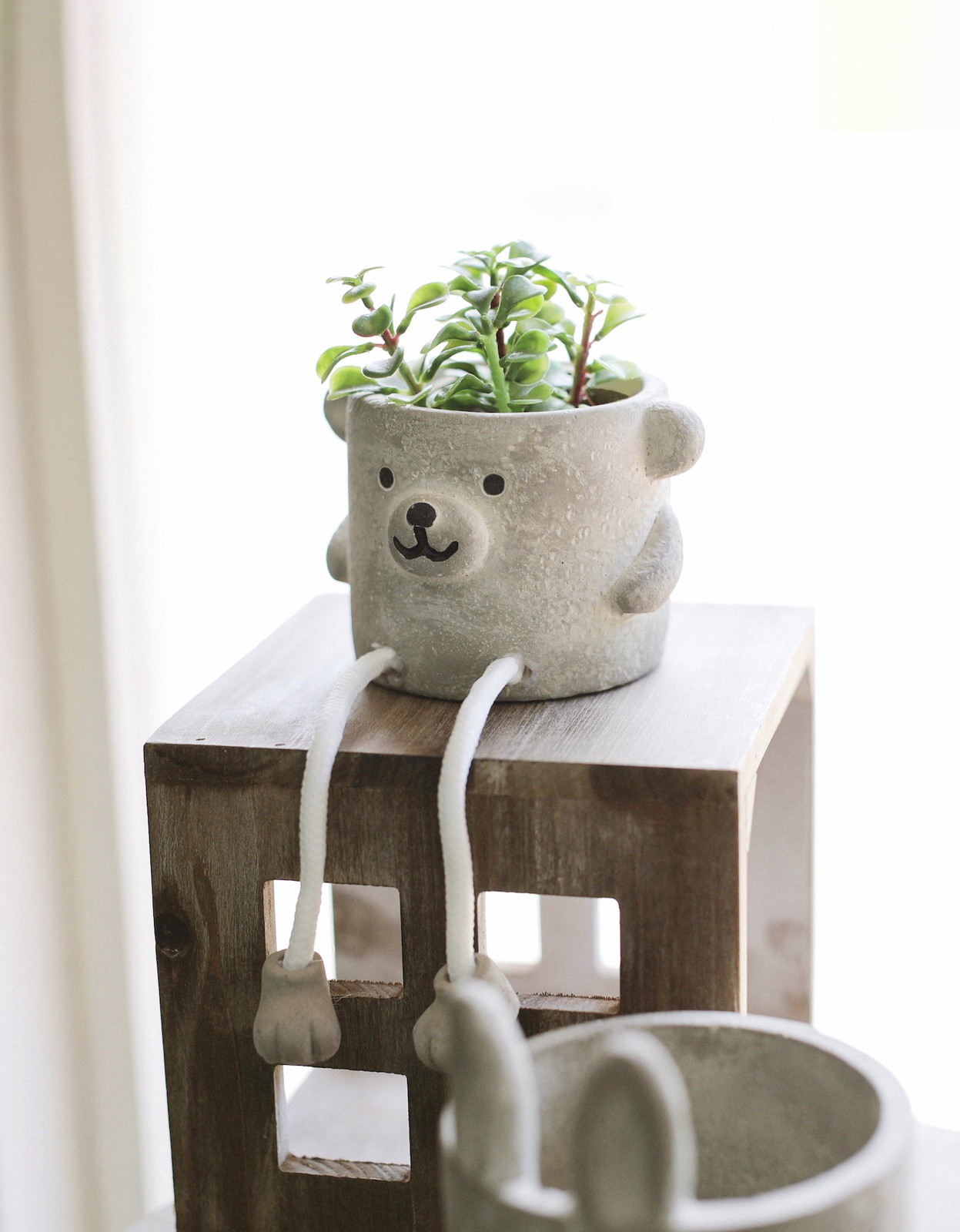 個人宅配送不可】ｱﾆﾏﾙ・ﾚｽﾄﾎﾟｯﾄ・S: フラワーベース・鉢カバー ｜ YDM