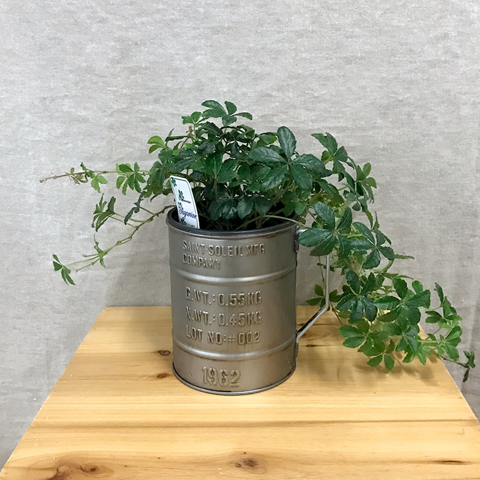 【個人宅配送不可】バリル・マグポット・L