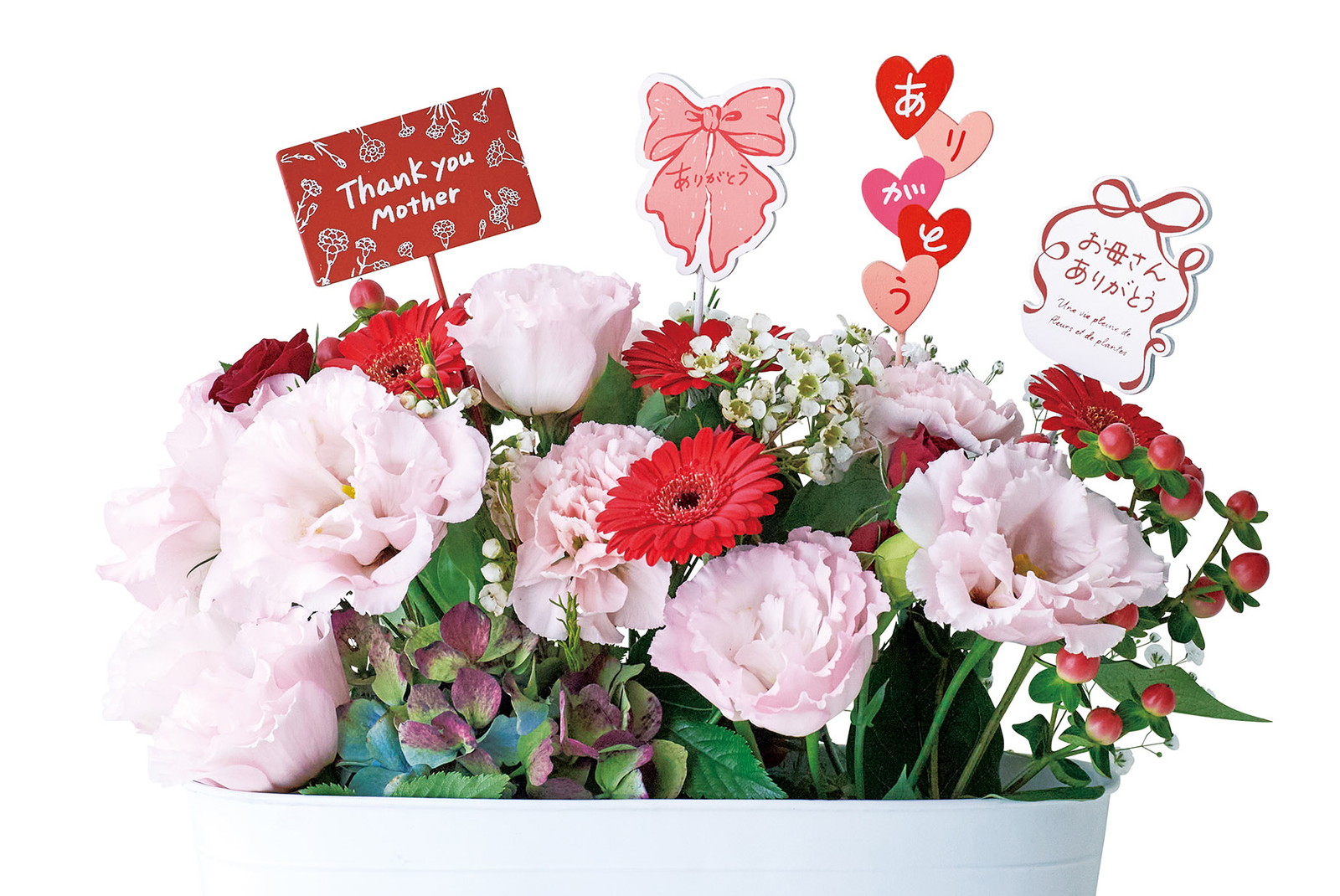 �ؐ���ڰ��߯� ���ʰ�  2��×�e6�{