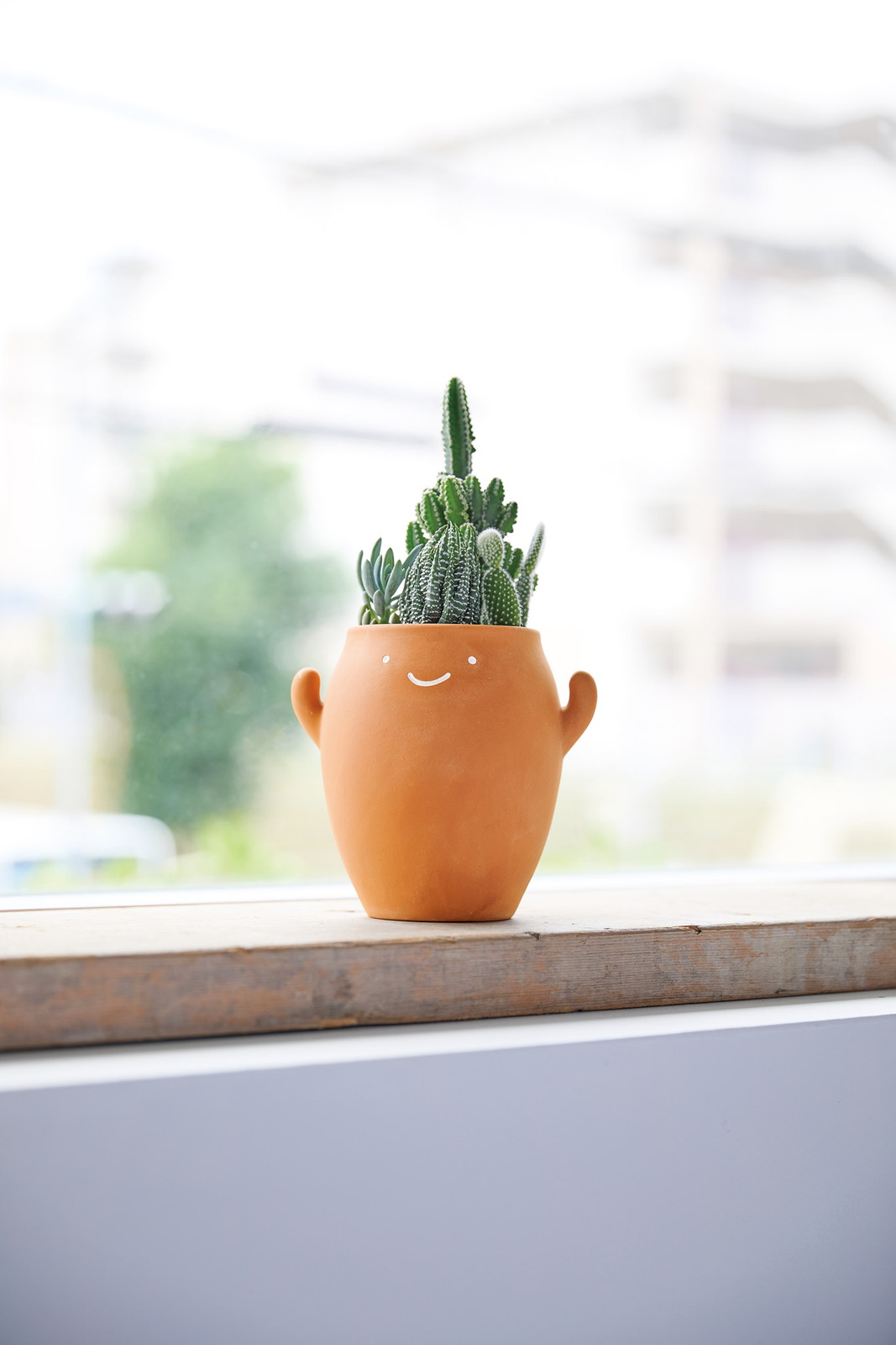 ぐんぐんﾃﾗｺｯﾀ L : フラワーベース・鉢カバー ｜ YDMオンラインストア