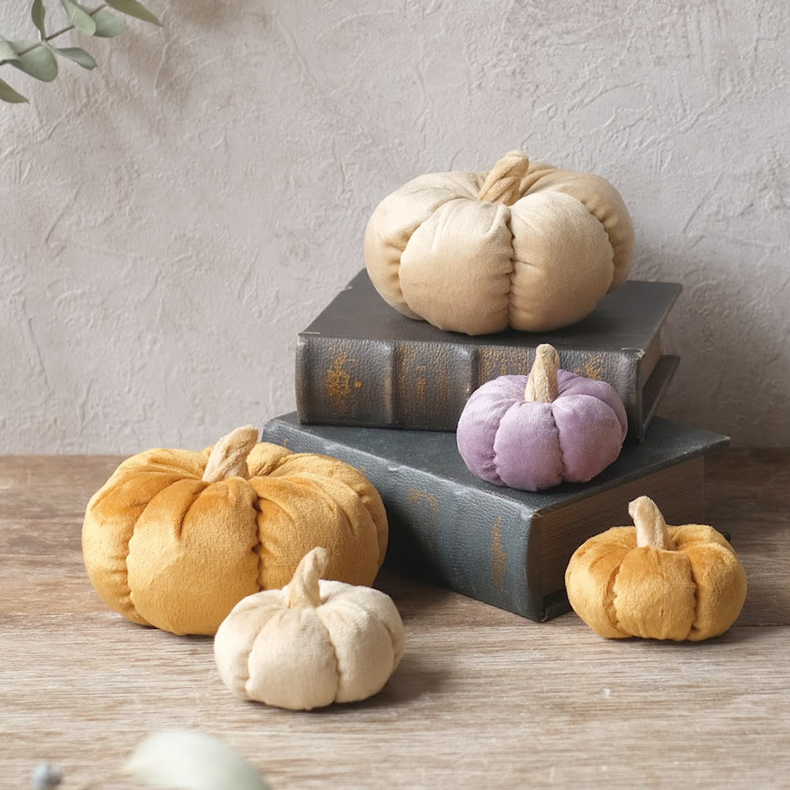 ���ڂ��ᵰ����