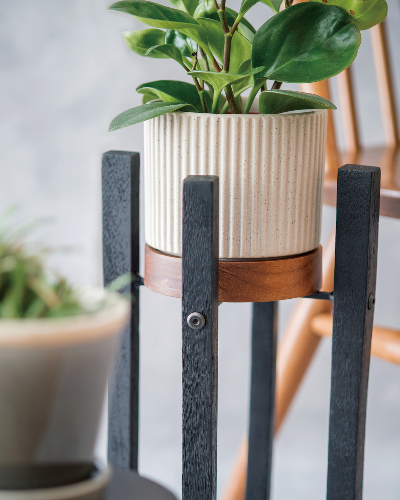 【個人宅配送不可】タイディポット グレー