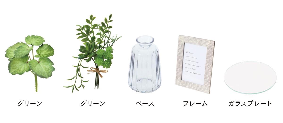 ディスプレイセット グリーン S