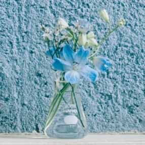 SF-30SCI三角フラスコ30ml