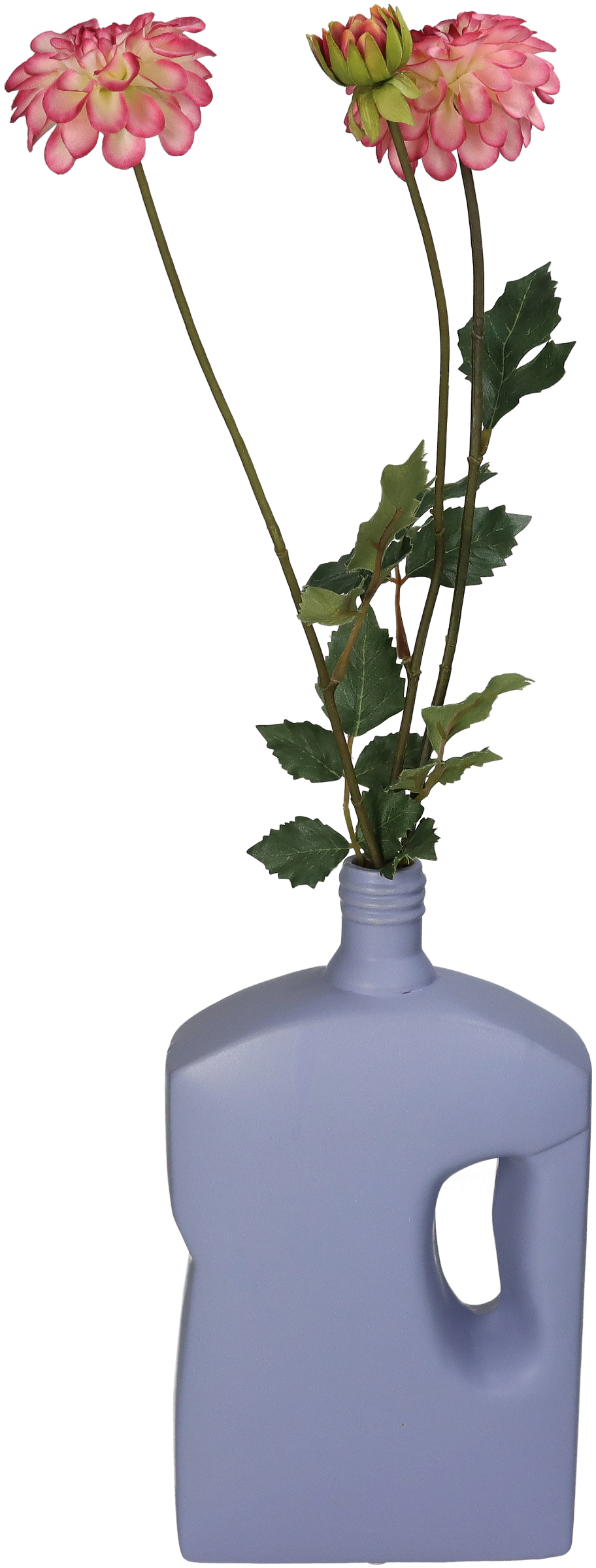 Vase Bottle Fine Earthen