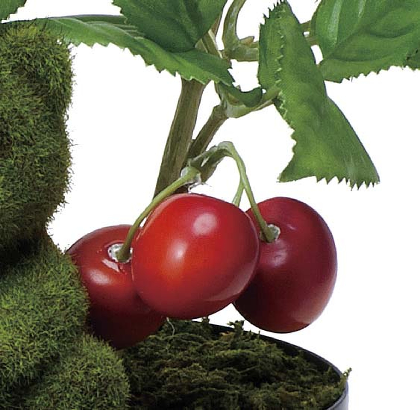 �y�ʓr�����z������