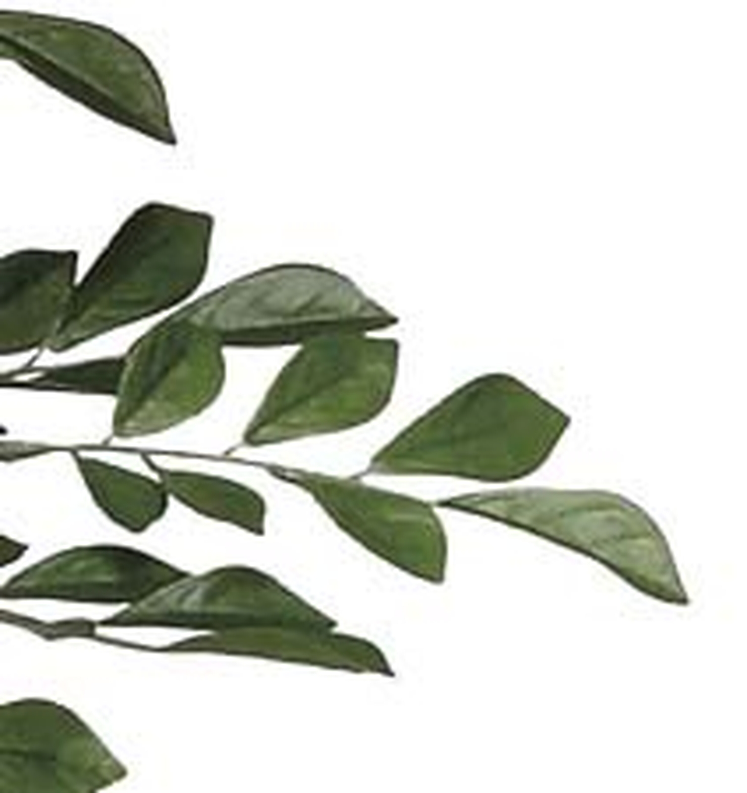 �y�ʓr�����z��غ 1.35