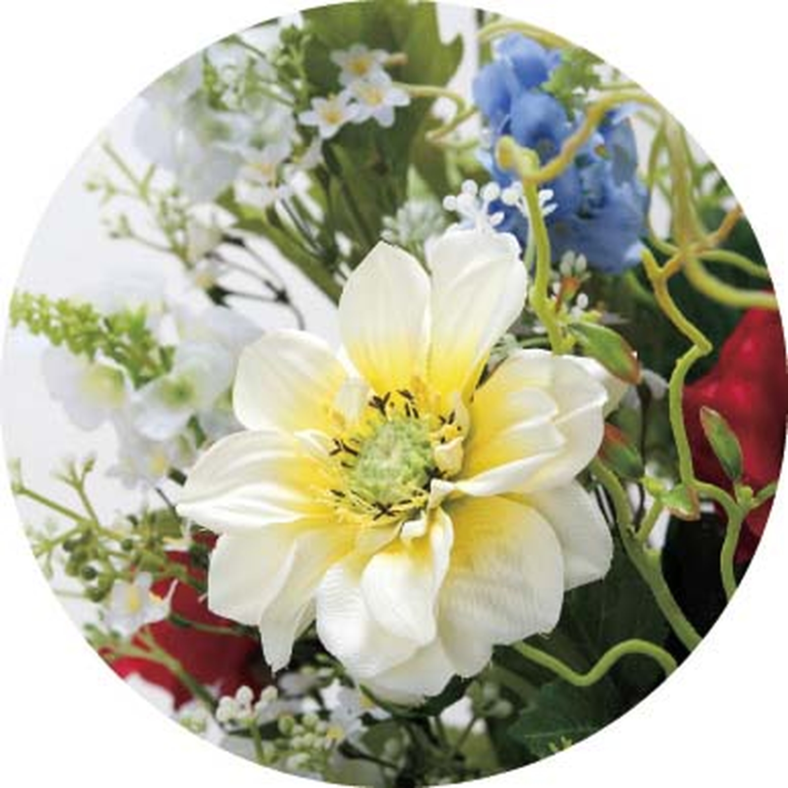 �y�ʓr�����z�����ި�