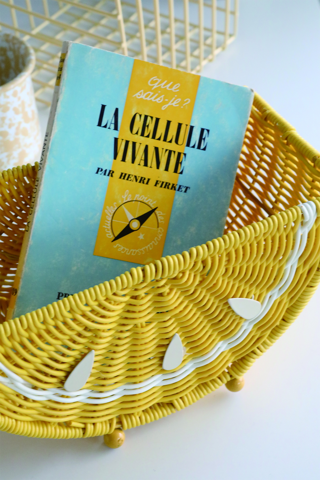 �y�l��z���s�z��ۥ�޽���