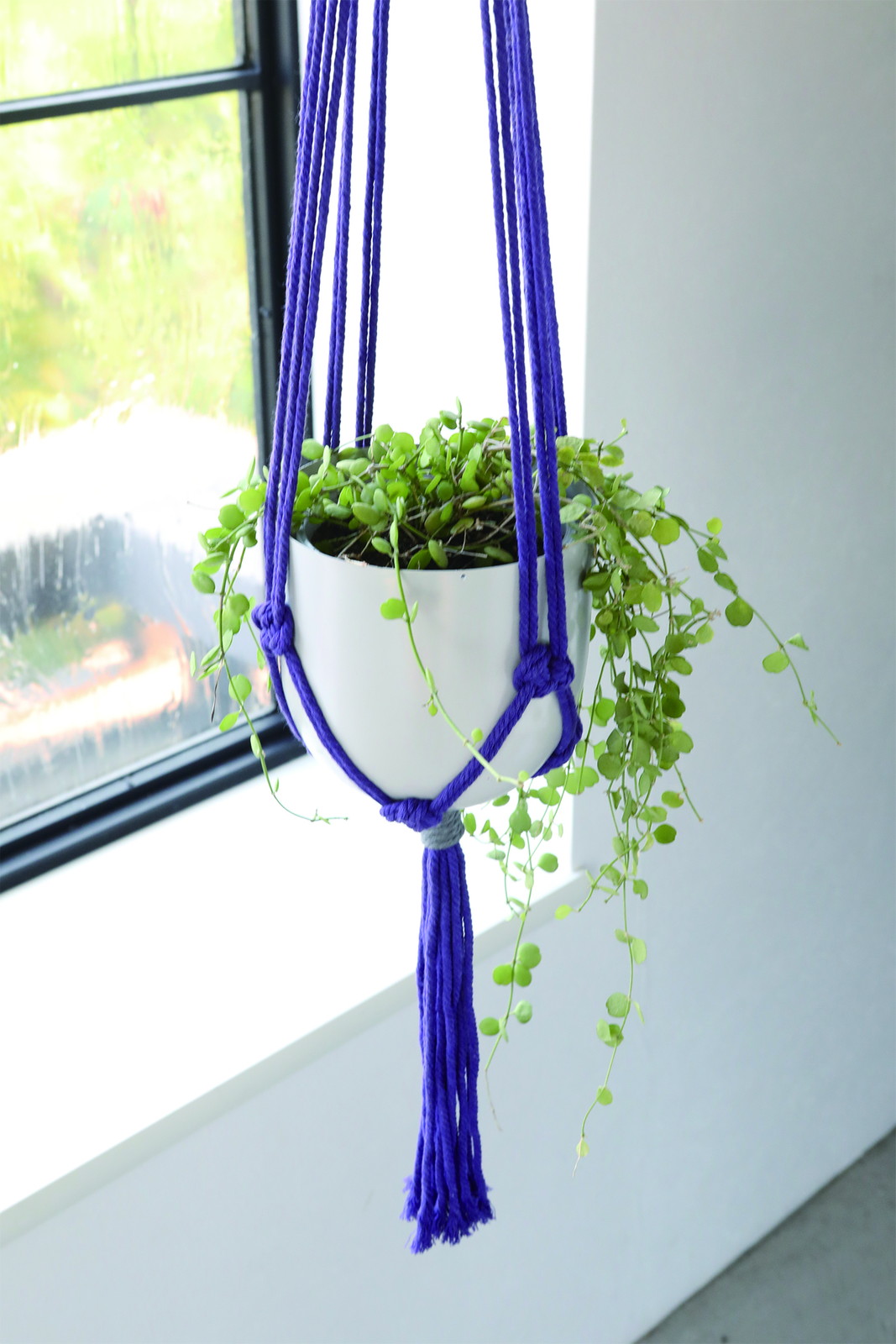 �y�l��z���s�z���ϸ�ҥ�ݸ��߯� purple