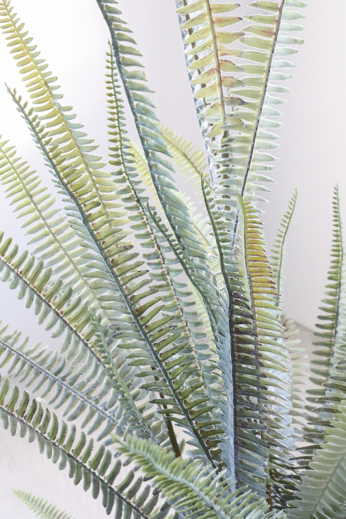 �y�l��z���s�z�ۯ���ް�߯�