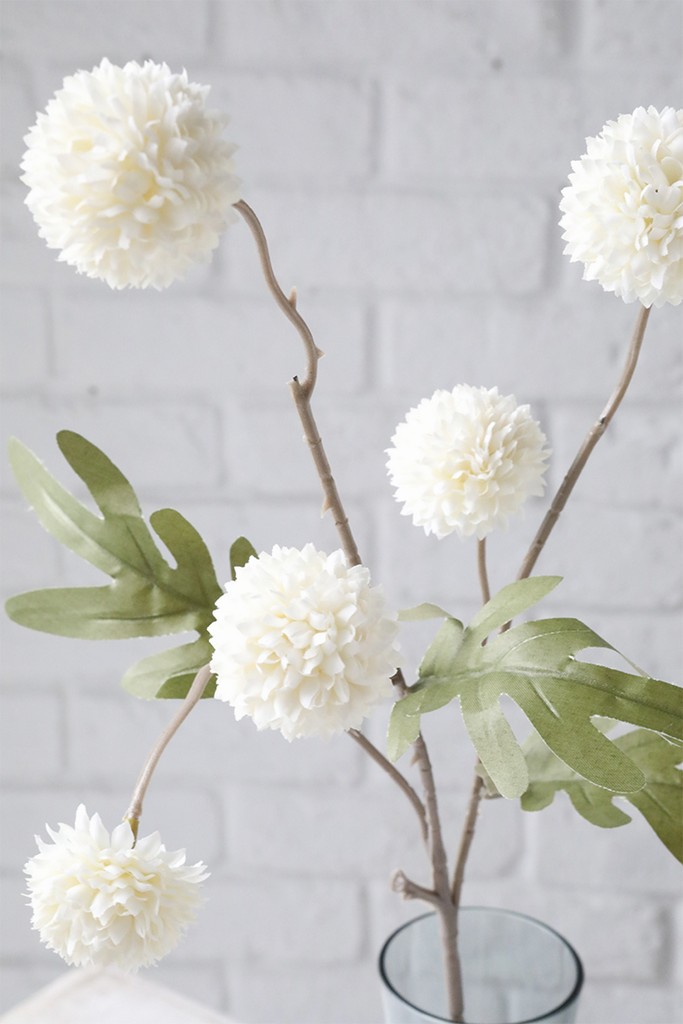 �y�l��z���s�z��������ܲ�