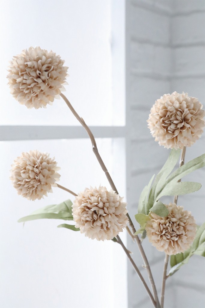 �y�l��z���s�z��������ذ�