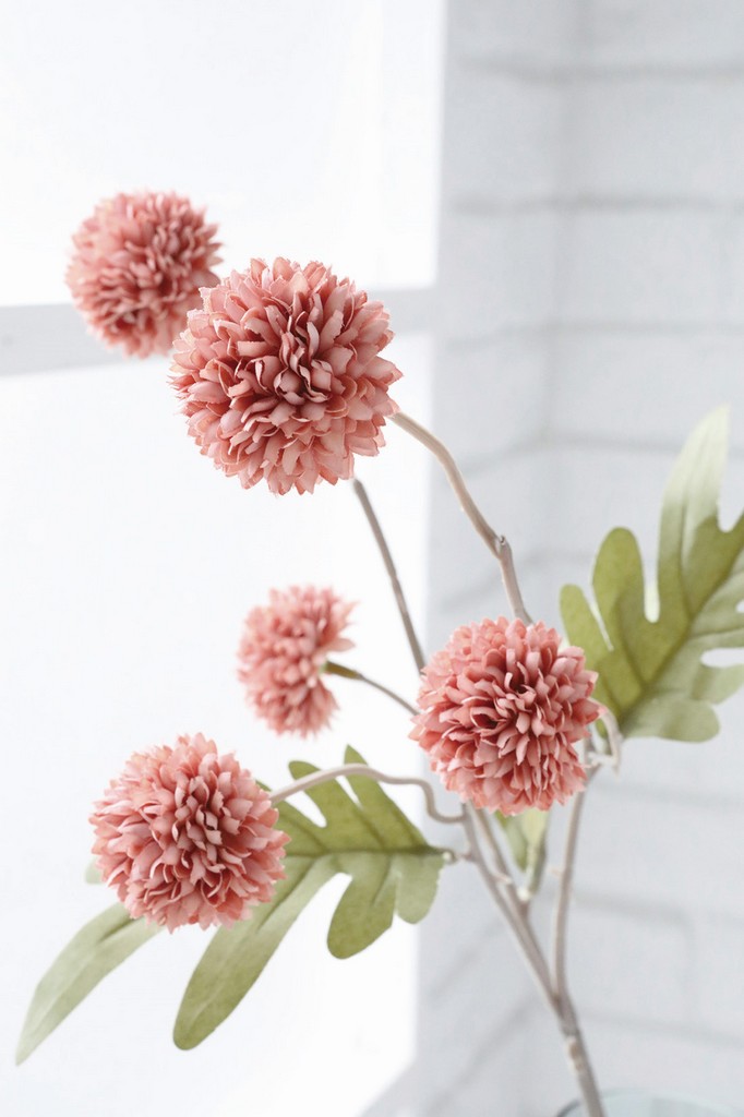 �y�l��z���s�z�������۰��