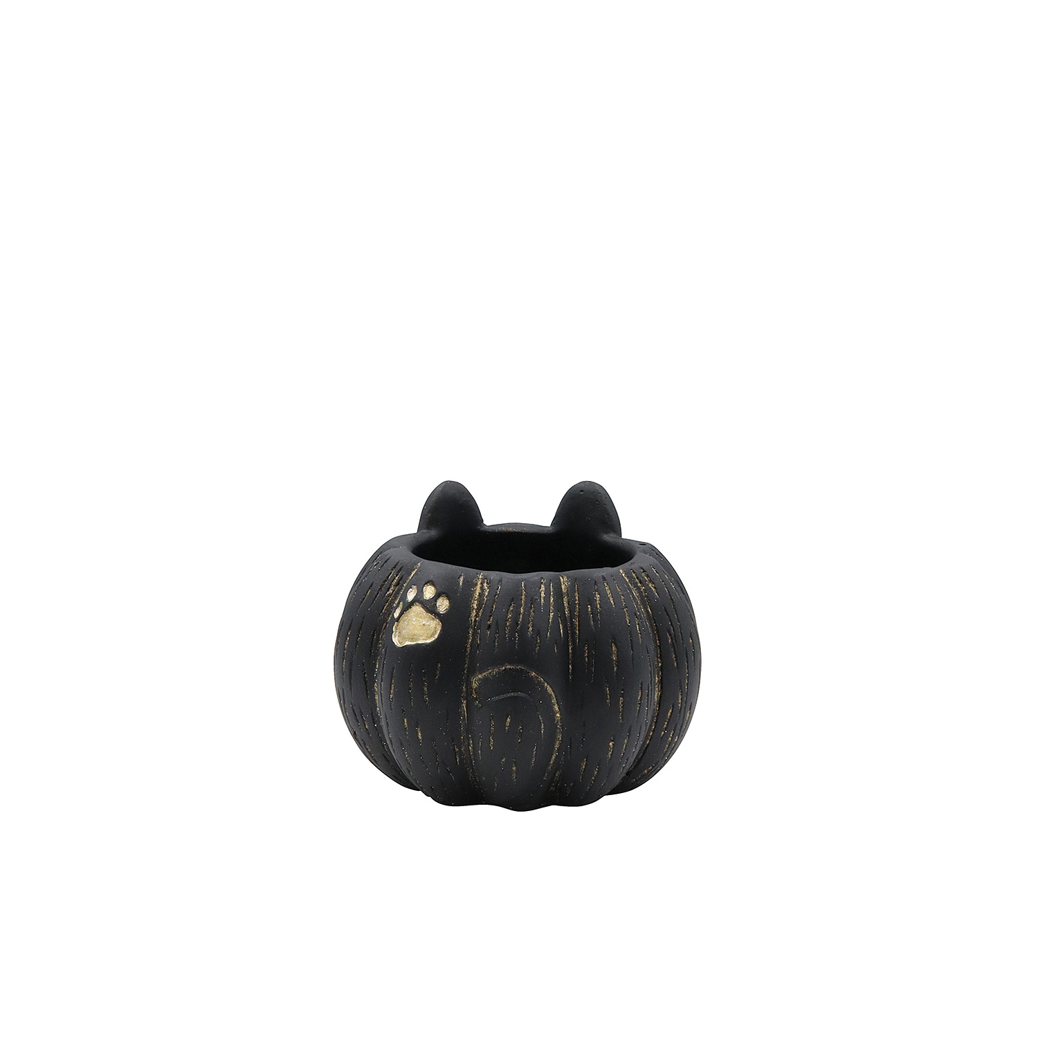 �y�l��z���s�z�۳�ݷ���25-C-BK
