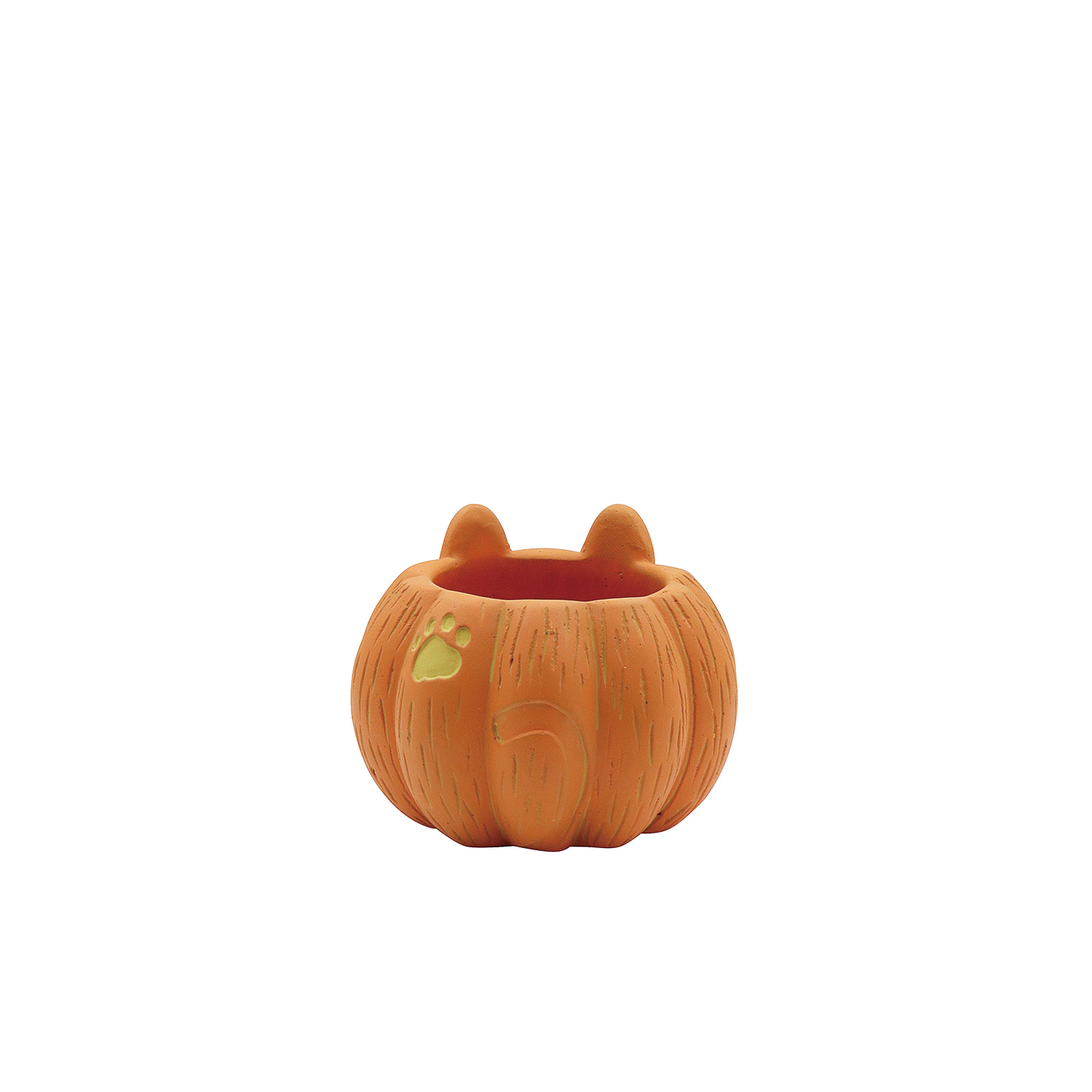 �y�l��z���s�z�۳�ݷ���25-C-OR