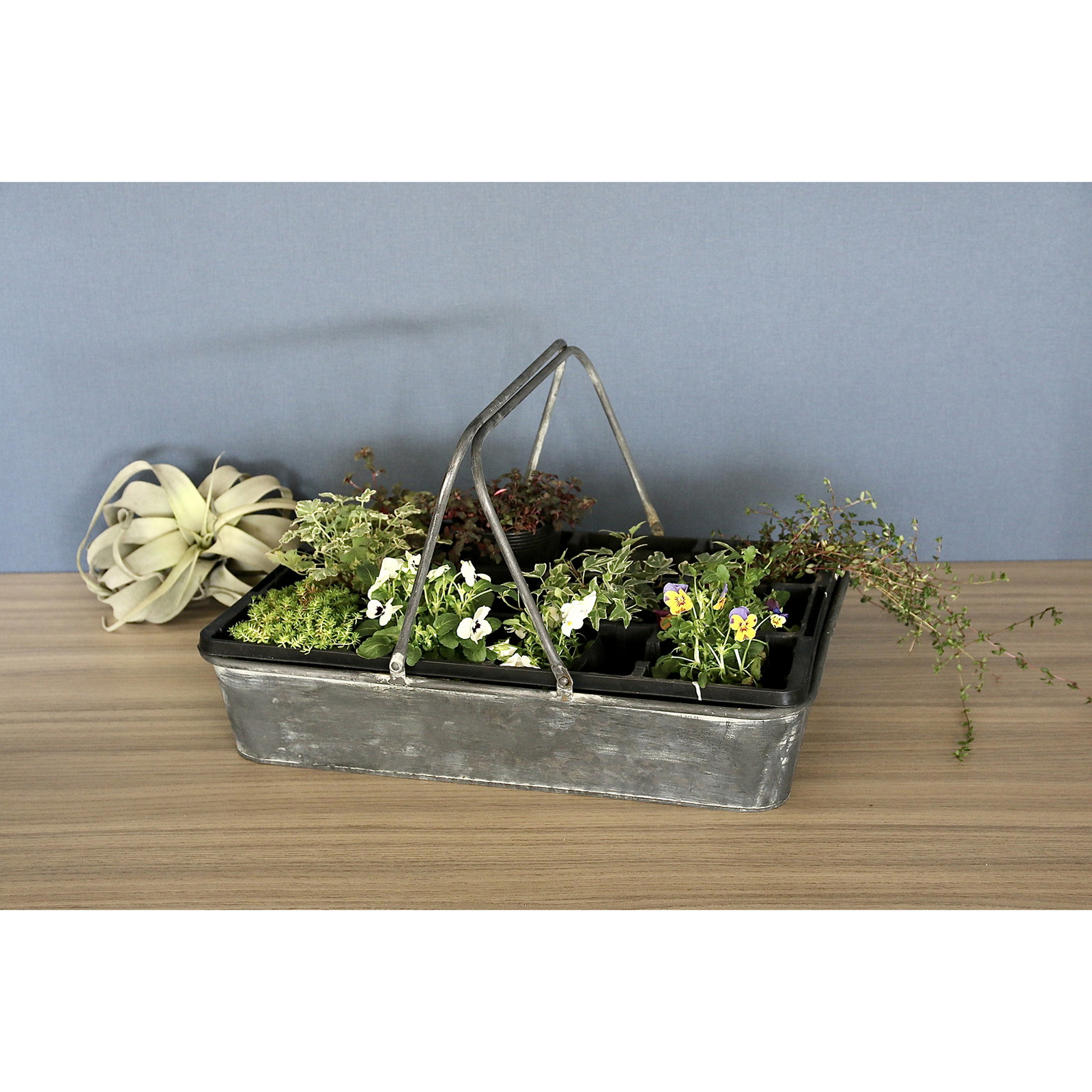�y�l��z���s�z��ط�����·ڸ��޽��� L��