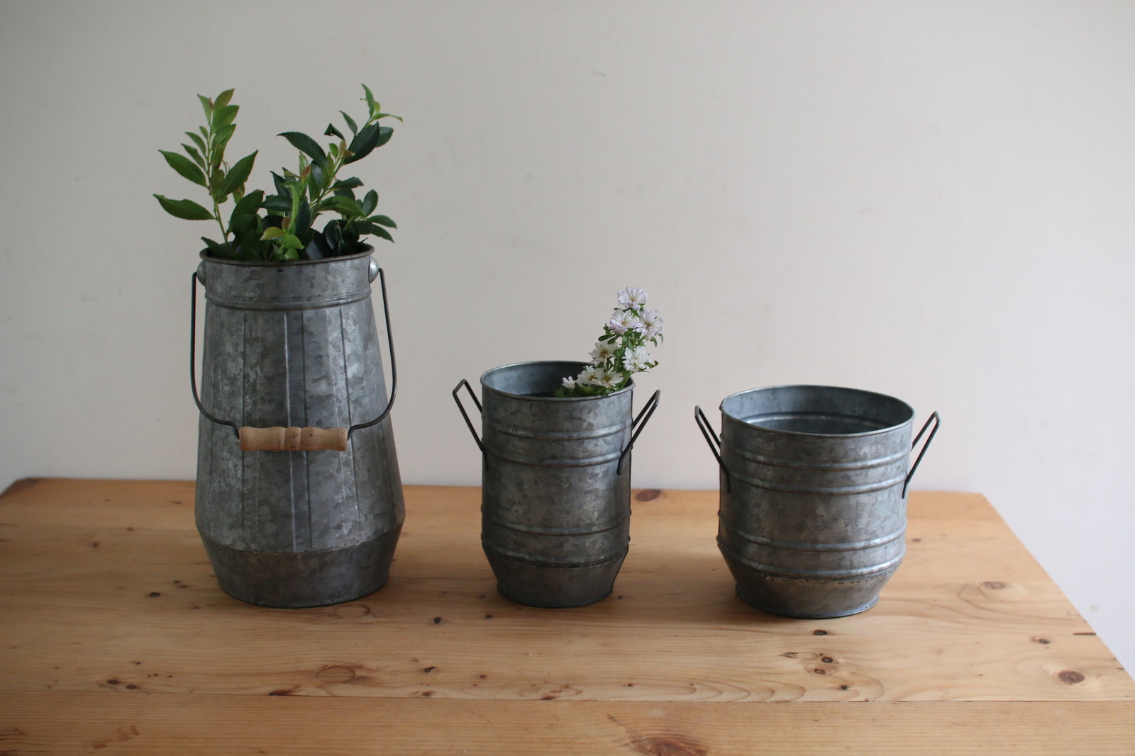 【個人宅配送不可】ブリキハンドルポット トール