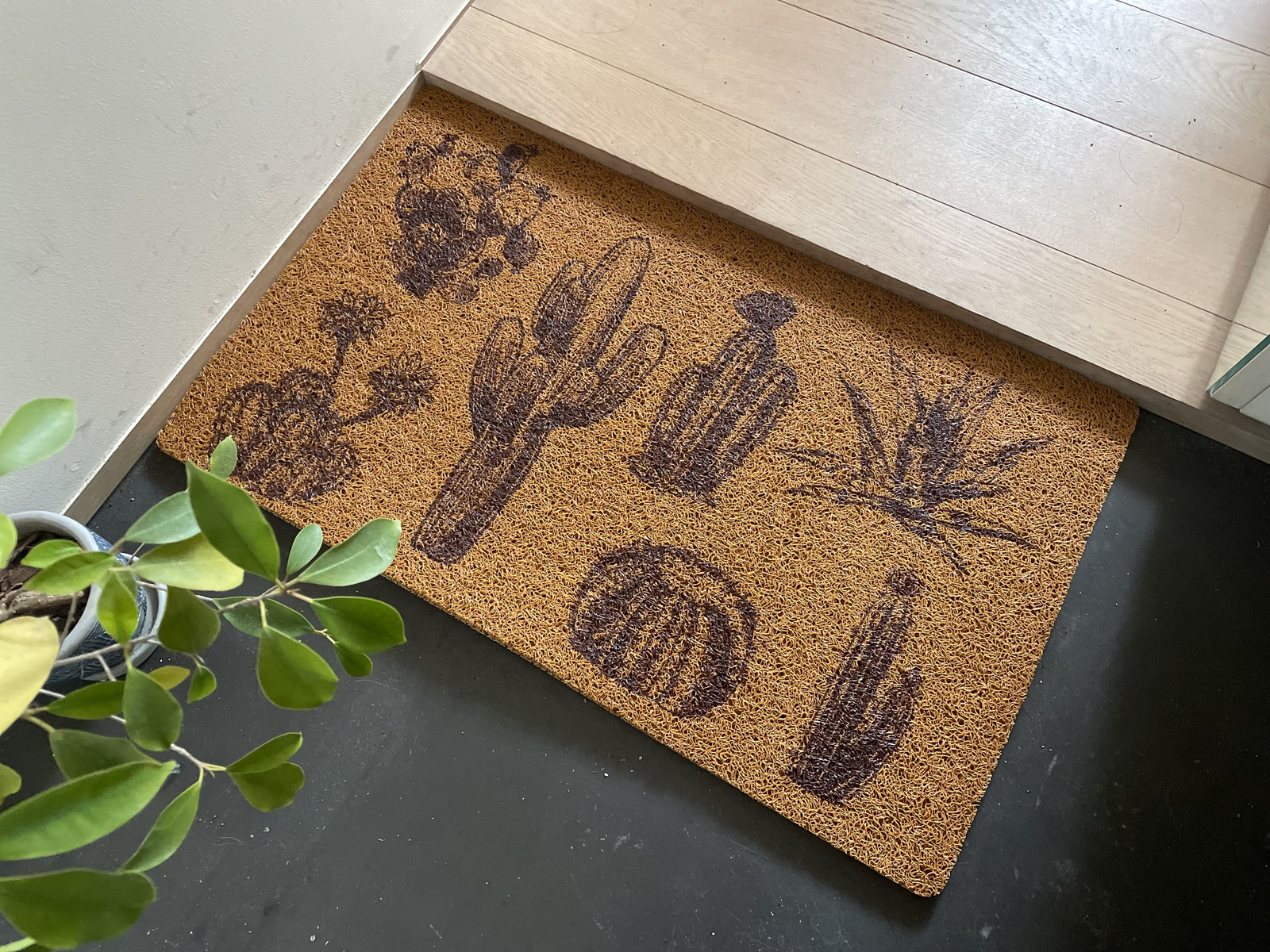 �y�l��z���s�z̶̶�׽ϯ� Saboten