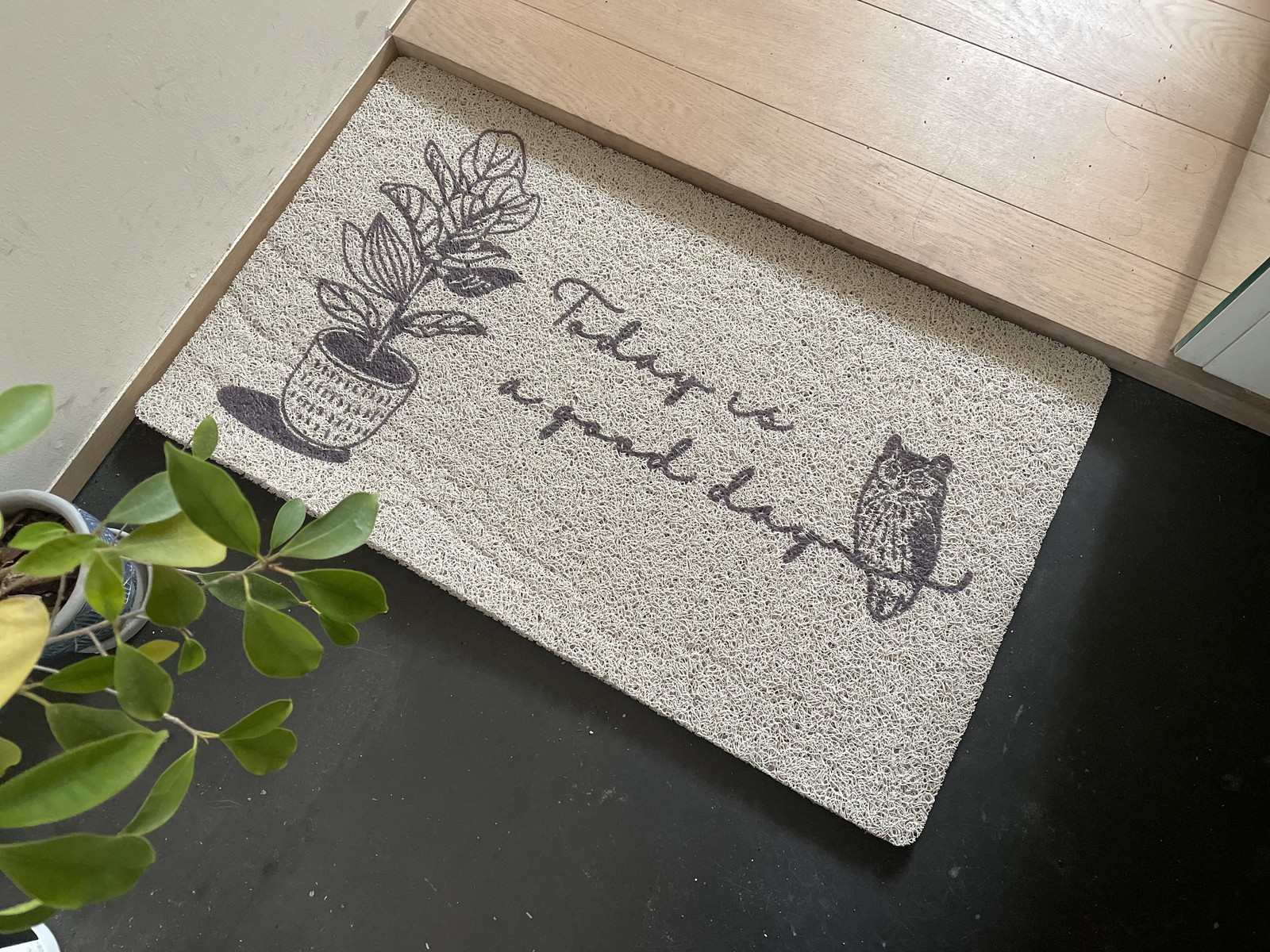 �y�l��z���s�z̶̶�׽ϯ� Owl