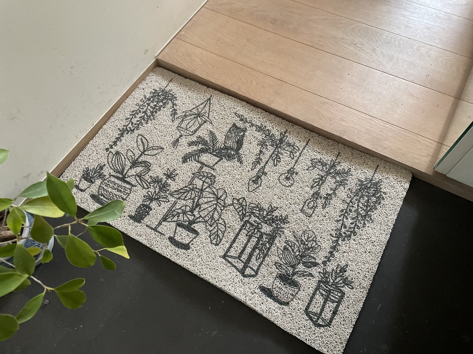 �y�l��z���s�z̶̶�׽ϯ� Houseplants 7