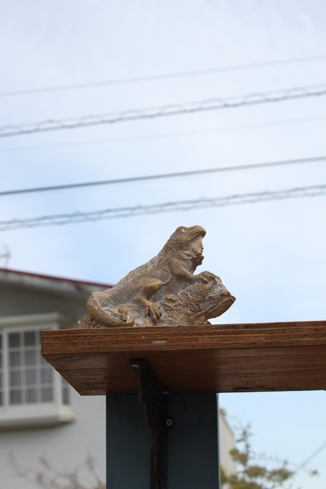 個人宅配送不可】(2)ﾃﾞｺｰﾙｾﾒﾝﾄｵﾌﾞｼﾞｪ ﾄｶｹﾞ Sｻｲｽﾞ