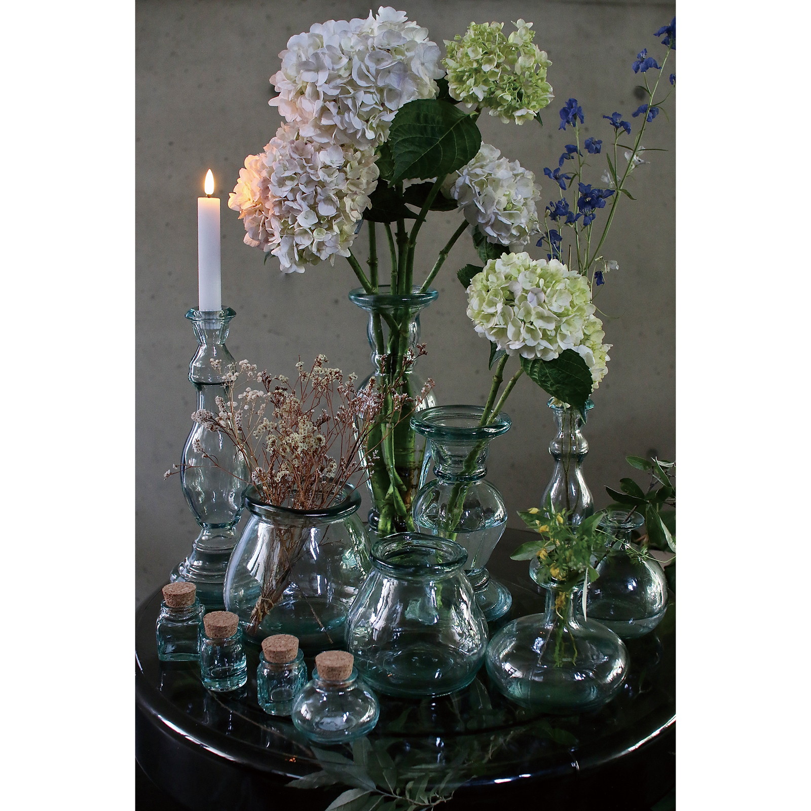 �y�l��z���s�zػ��ٶ�׽ Seed storage B