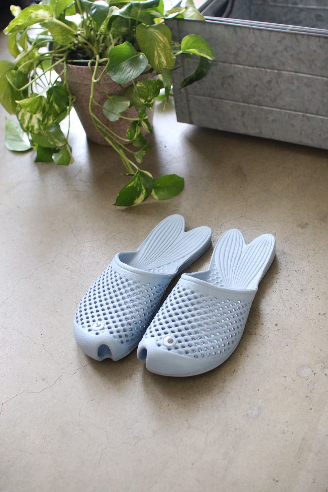 ylzsz(3) ٰڰ ذ