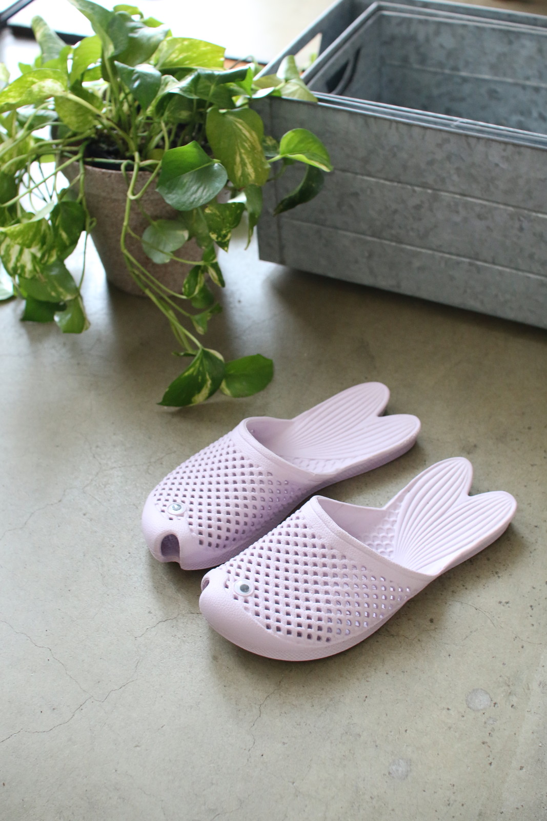 ylzsz(3) ײׯ ذ