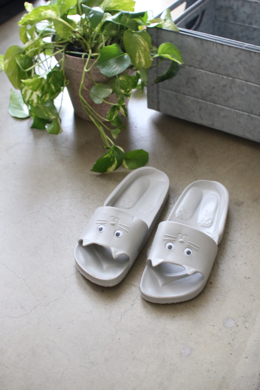 ylzsz(3)Ļ ڰ ذ