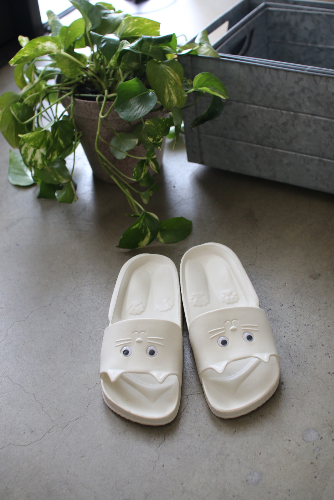 ylzsz(3)Ļ ذ ذ