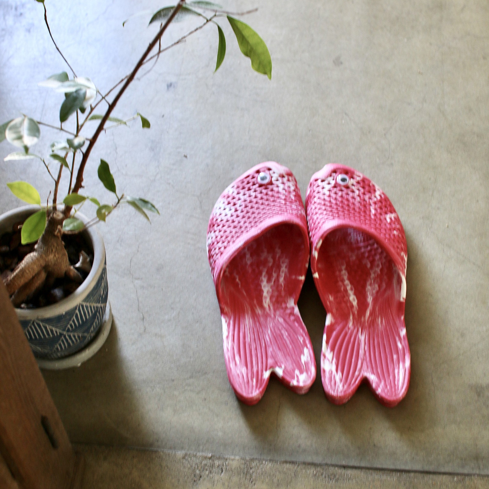 �y�l��z���s�z�ݷޮ����� ϰ���گ�� �ذ